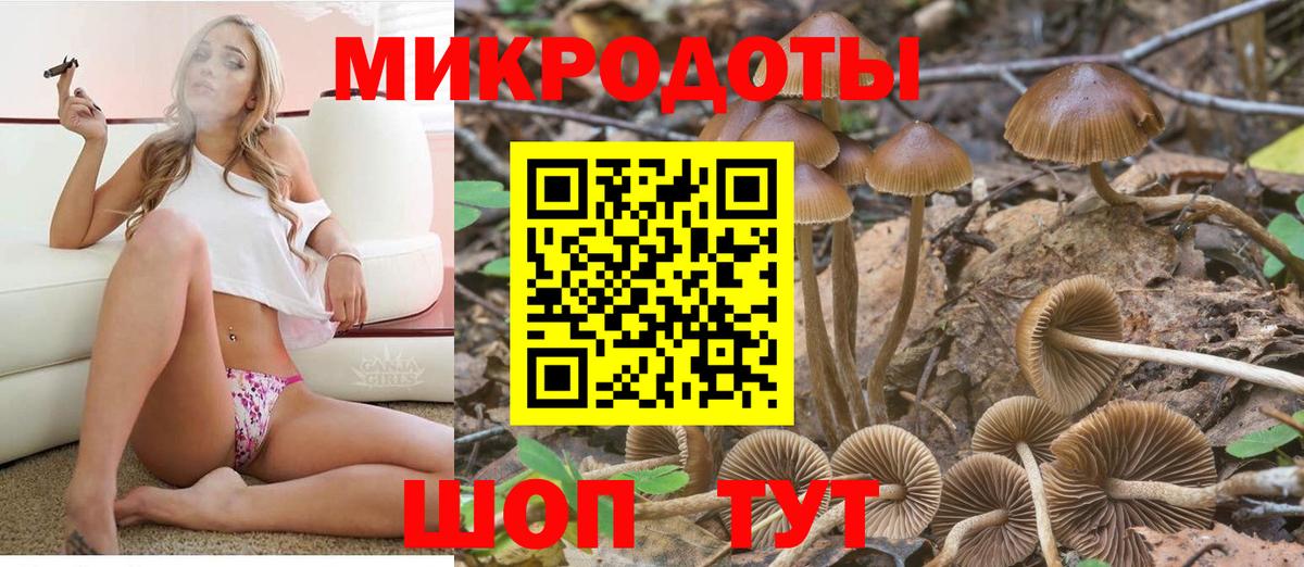 Псилоцибиновые грибы GOLDEN TEACHER Новозыбков