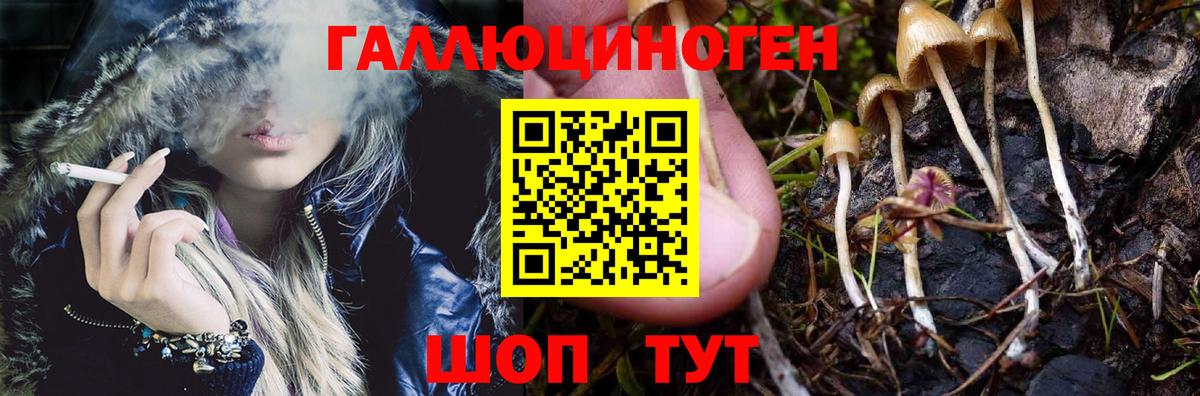Новозыбков  Галлюциногенные грибы GOLDEN TEACHER  Вход с VPN 